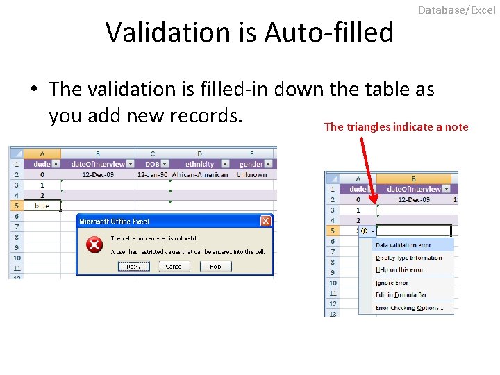 Validation is Auto-filled Database/Excel • The validation is filled-in down the table as you