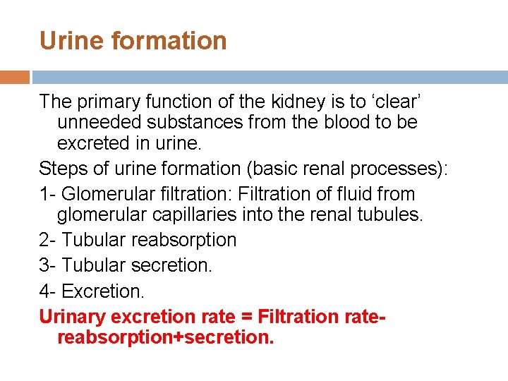 Urine formation The primary function of the kidney is to ‘clear’ unneeded substances from