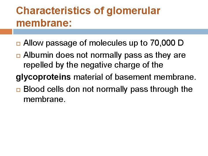 Characteristics of glomerular membrane: Allow passage of molecules up to 70, 000 D Albumin