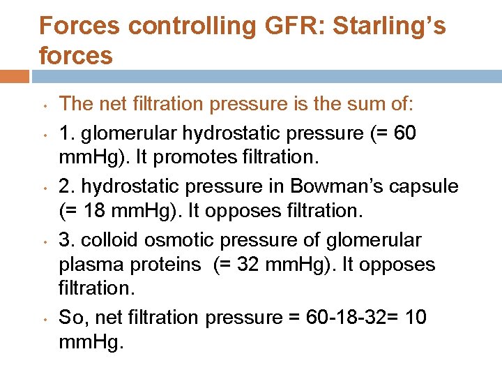 Forces controlling GFR: Starling’s forces • • • The net filtration pressure is the