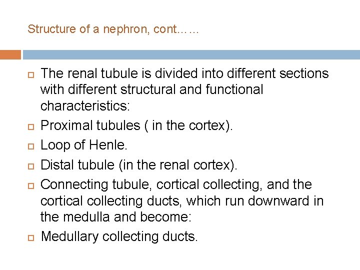 Structure of a nephron, cont…… The renal tubule is divided into different sections with