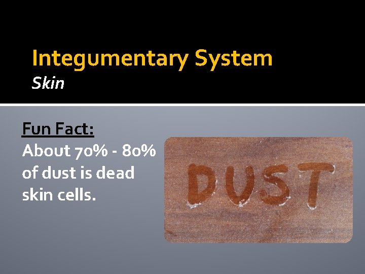 Integumentary System Skin Fun Fact: About 70% - 80% of dust is dead skin Integumentary System Skin Fun Fact: About 70% - 80% of dust is dead skin