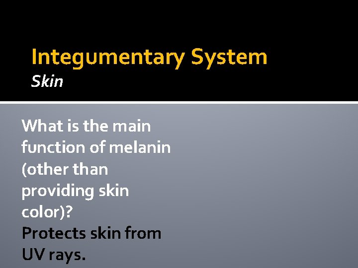 Integumentary System Skin What is the main function of melanin (other than providing skin Integumentary System Skin What is the main function of melanin (other than providing skin
