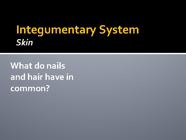 Integumentary System Skin What do nails and hair have in common? Integumentary System Skin What do nails and hair have in common?