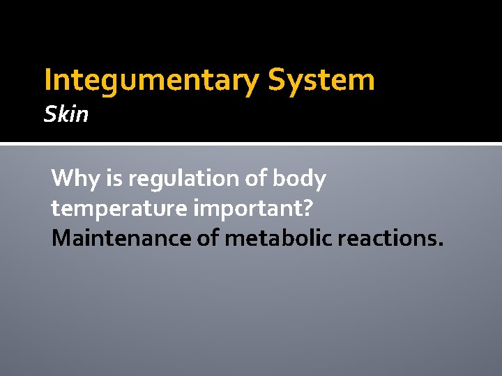 Integumentary System Skin Why is regulation of body temperature important? Maintenance of metabolic reactions. Integumentary System Skin Why is regulation of body temperature important? Maintenance of metabolic reactions.