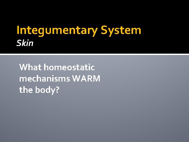 Integumentary System Skin What homeostatic mechanisms WARM the body? Integumentary System Skin What homeostatic mechanisms WARM the body?