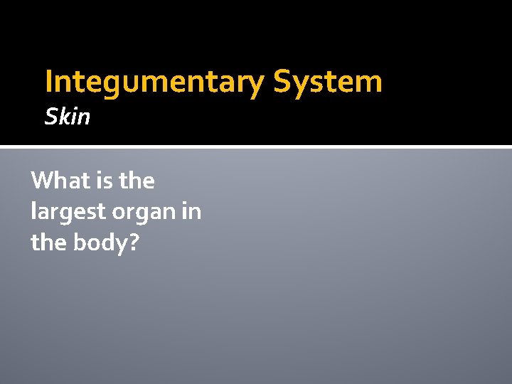 Integumentary System Skin What is the largest organ in the body? Integumentary System Skin What is the largest organ in the body?