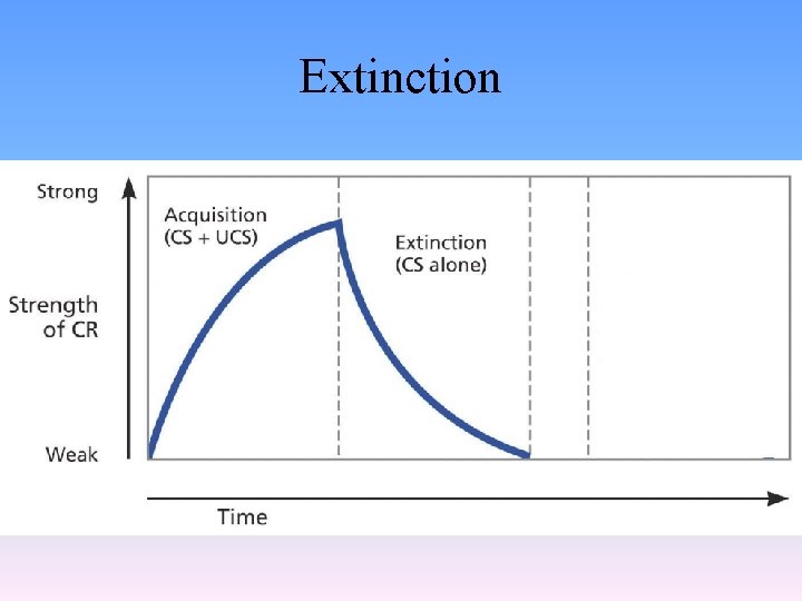 Counterconditioning Extinction Example LEARNING Learning A relatively permanent change in behavior