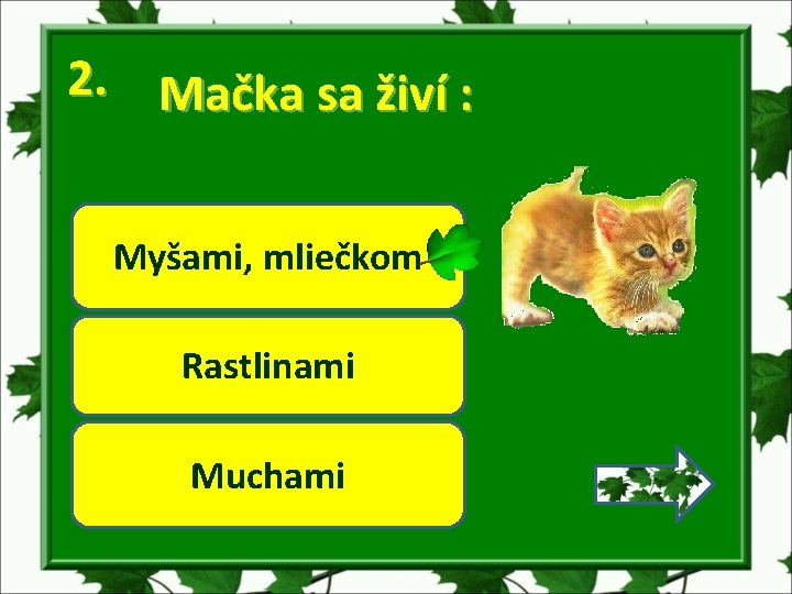 2. Mačka sa živí : Myšami, mliečkom Rastlinami Muchami 