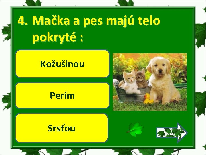 4. Mačka a pes majú telo pokryté : Kožušinou Perím Srsťou 