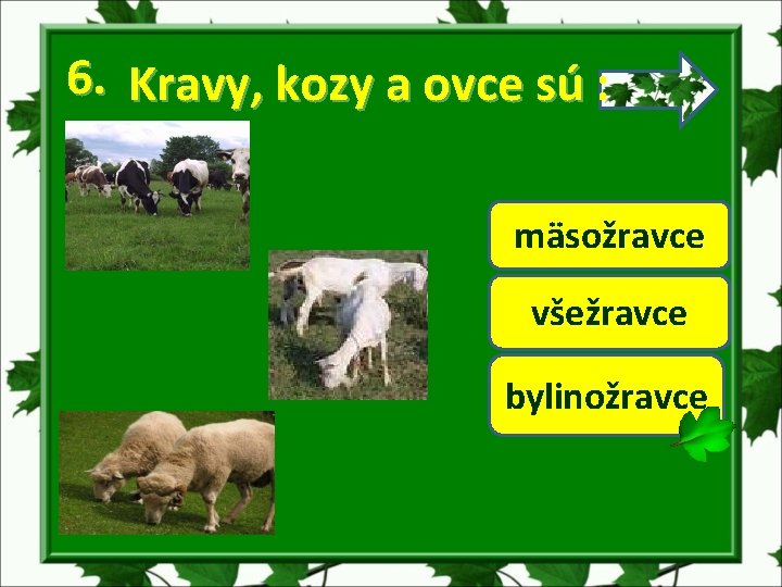 6. Kravy, kozy a ovce sú : mäsožravce všežravce bylinožravce 