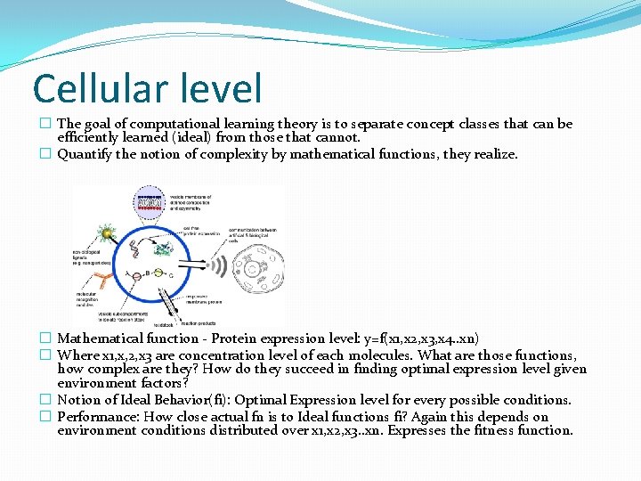 Cellular level � The goal of computational learning theory is to separate concept classes