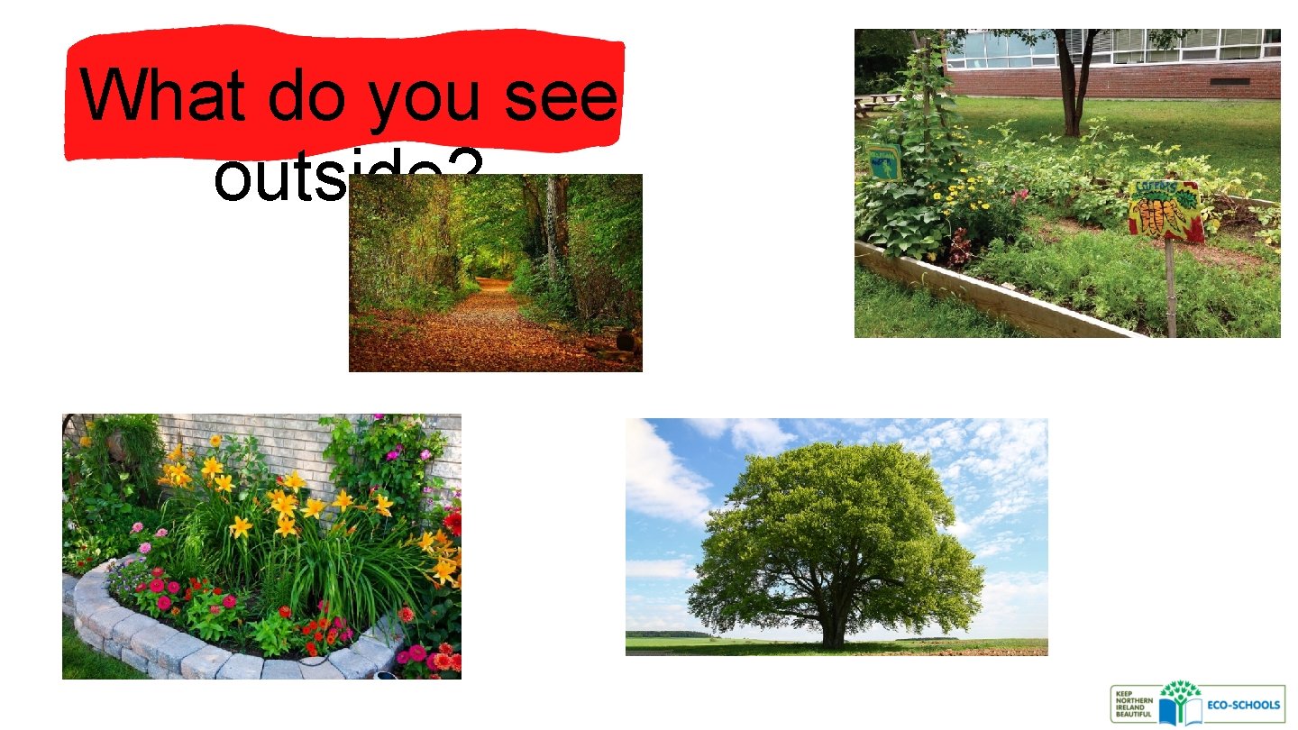 What do you see outside? 