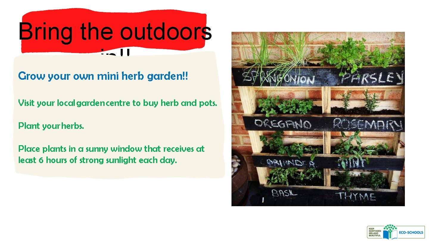 Bring the outdoors in!! Grow your own mini herb garden!! Visit your local garden