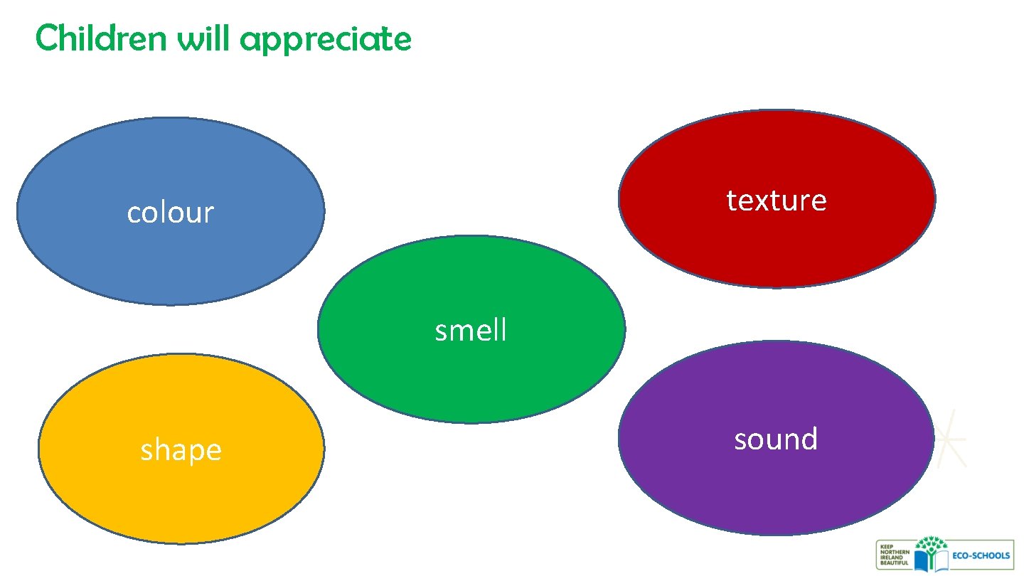 Children will appreciate texture colour smell shape sound 