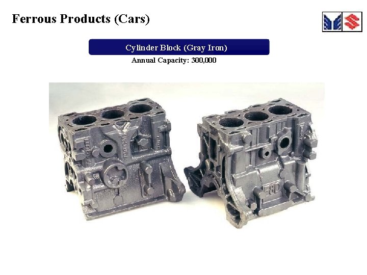 Ferrous Products (Cars) Cylinder Block (Gray Iron) Annual Capacity: 300, 000 