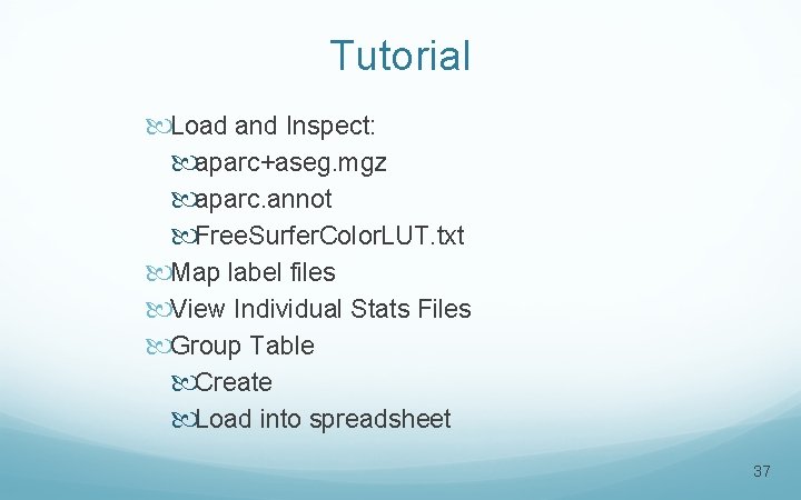 Tutorial Load and Inspect: aparc+aseg. mgz aparc. annot Free. Surfer. Color. LUT. txt Map