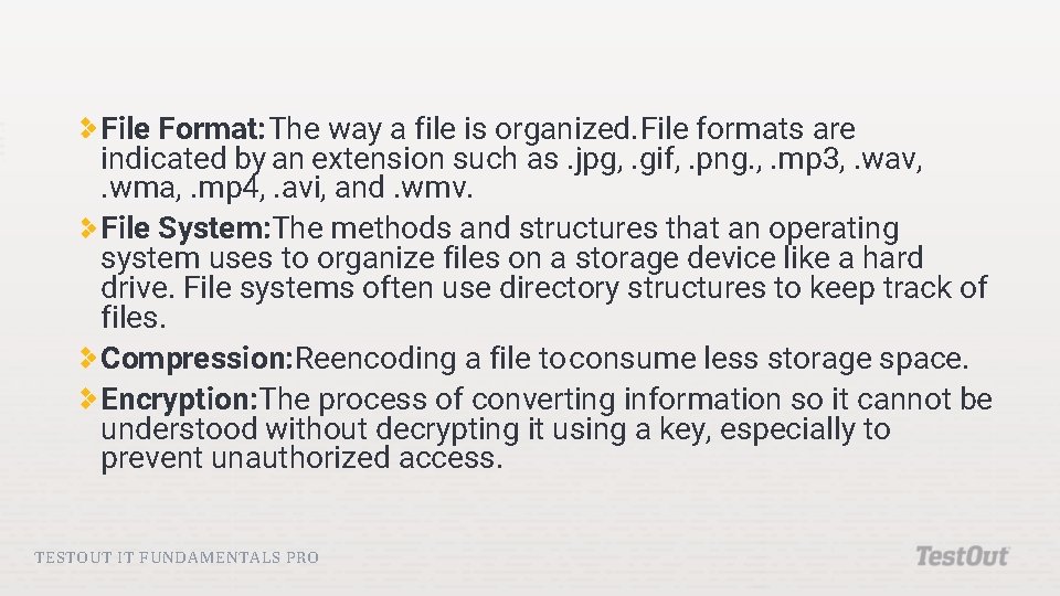 File Format: The way a file is organized. File formats are indicated by an File Format: The way a file is organized. File formats are indicated by an