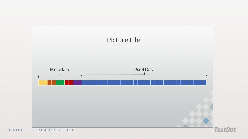 TESTOUT IT FUNDAMENTALS PRO TESTOUT IT FUNDAMENTALS PRO