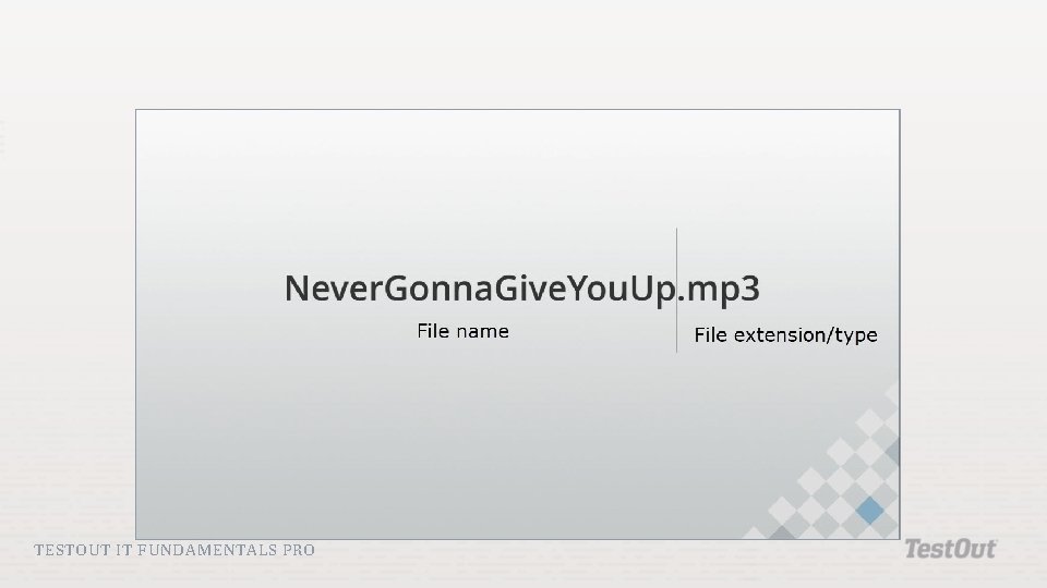 TESTOUT IT FUNDAMENTALS PRO TESTOUT IT FUNDAMENTALS PRO
