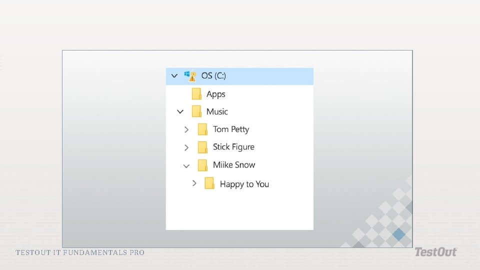 TESTOUT IT FUNDAMENTALS PRO TESTOUT IT FUNDAMENTALS PRO