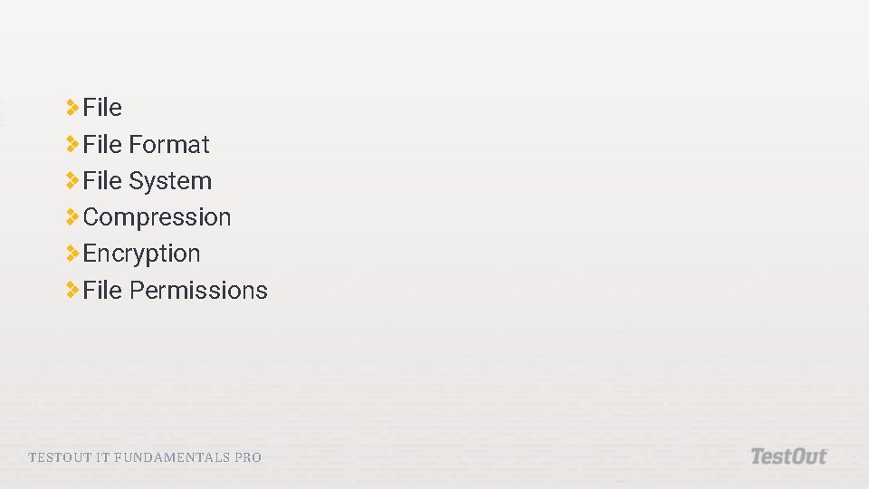 File Format File System Compression Encryption File Permissions TESTOUT IT FUNDAMENTALS PRO File Format File System Compression Encryption File Permissions TESTOUT IT FUNDAMENTALS PRO