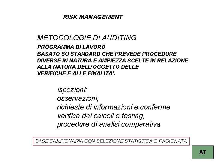 RISK MANAGEMENT METODOLOGIE DI AUDITING PROGRAMMA DI LAVORO BASATO SU STANDARD CHE PREVEDE PROCEDURE