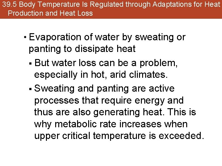 39. 5 Body Temperature Is Regulated through Adaptations for Heat Production and Heat Loss