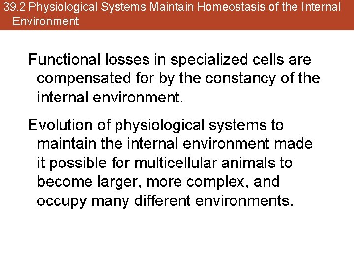 39. 2 Physiological Systems Maintain Homeostasis of the Internal Environment Functional losses in specialized