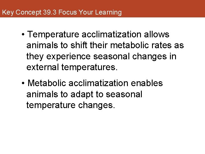 Key Concept 39. 3 Focus Your Learning • Temperature acclimatization allows animals to shift