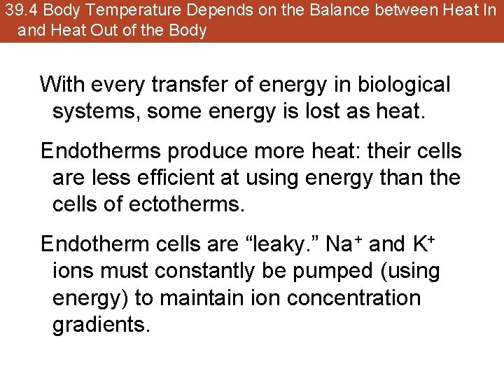 39. 4 Body Temperature Depends on the Balance between Heat In and Heat Out