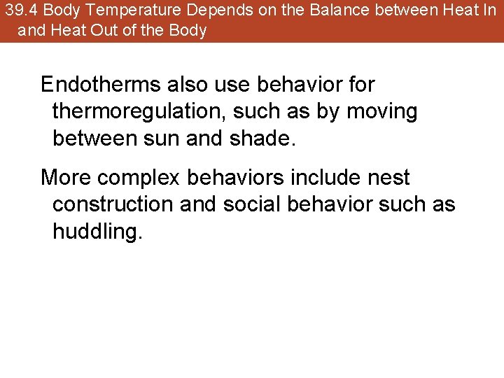 39. 4 Body Temperature Depends on the Balance between Heat In and Heat Out