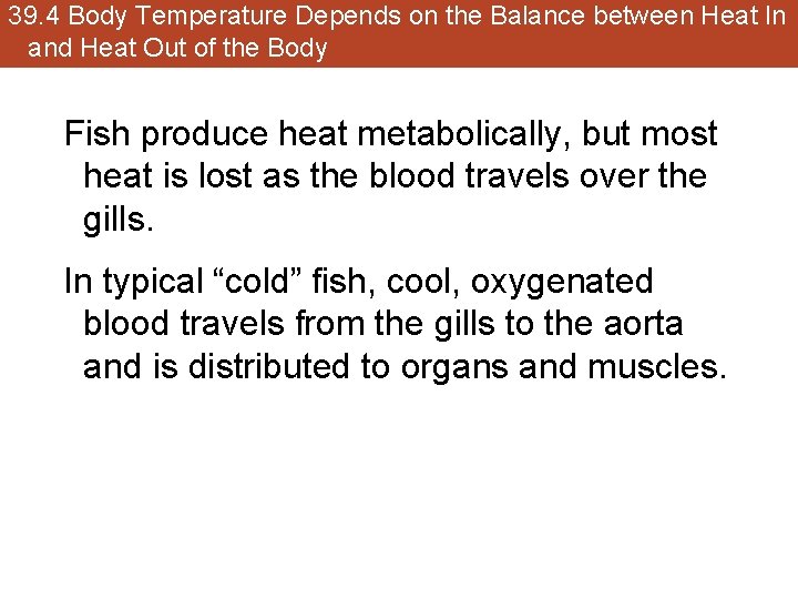 39. 4 Body Temperature Depends on the Balance between Heat In and Heat Out