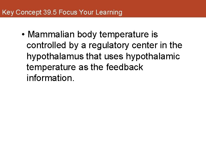 Key Concept 39. 5 Focus Your Learning • Mammalian body temperature is controlled by