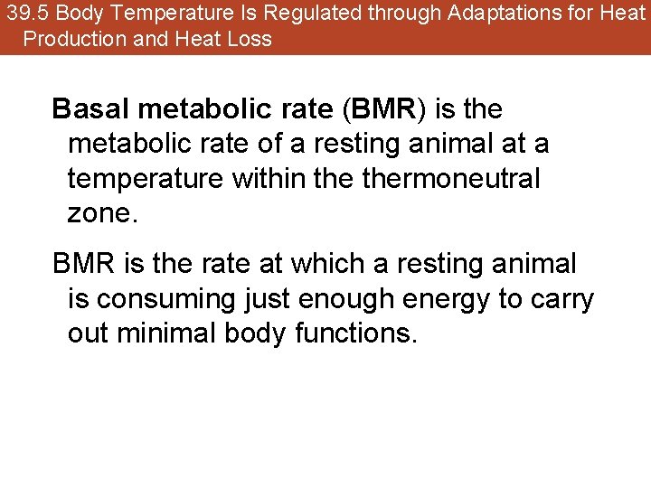 39. 5 Body Temperature Is Regulated through Adaptations for Heat Production and Heat Loss
