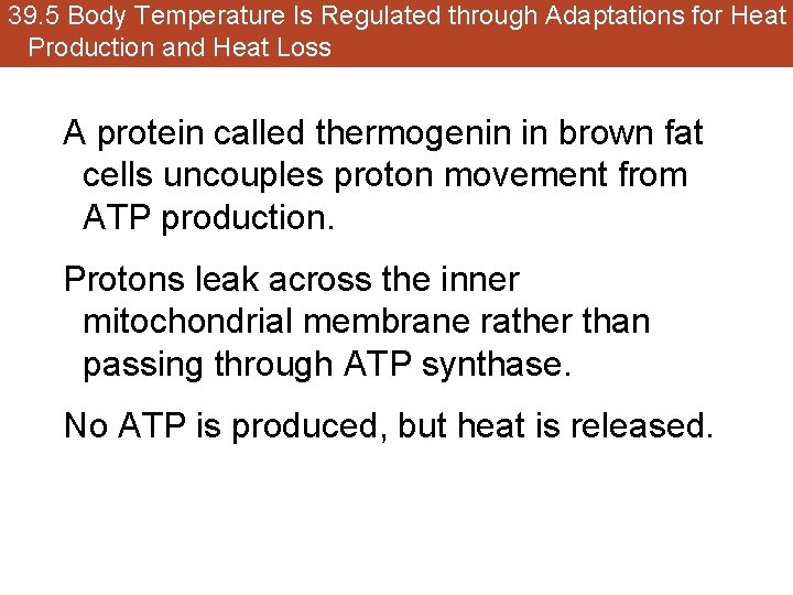 39. 5 Body Temperature Is Regulated through Adaptations for Heat Production and Heat Loss