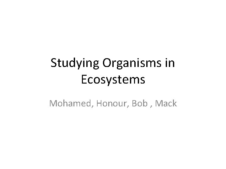 Studying Organisms in Ecosystems Mohamed, Honour, Bob , Mack 