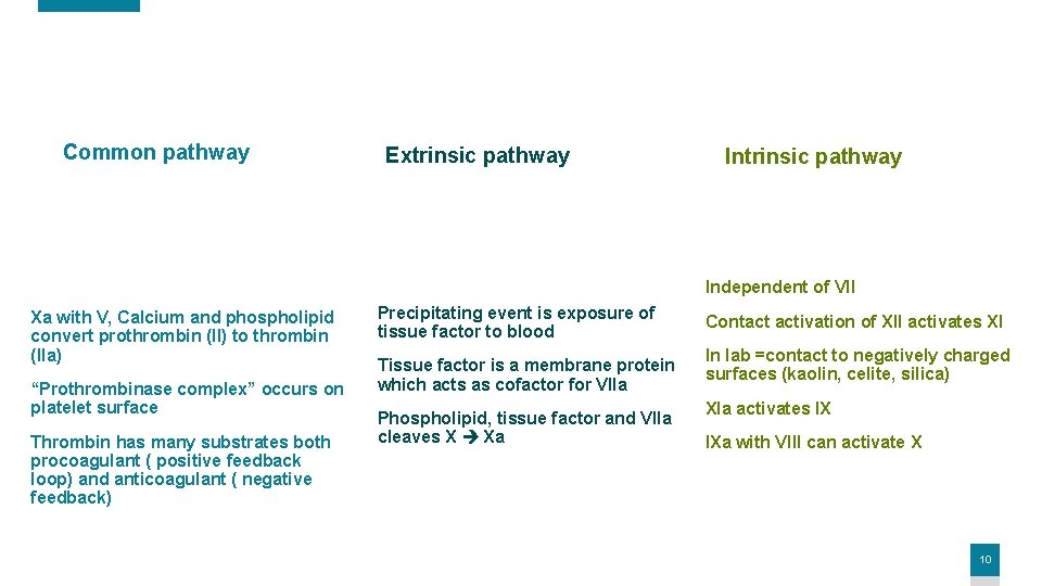 Common pathway Extrinsic pathway Independent of VII Xa with V, Calcium and phospholipid convert