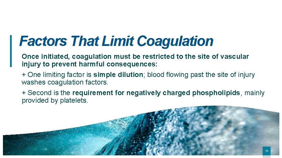 Factors That Limit Coagulation Once initiated, coagulation must be restricted to the site of