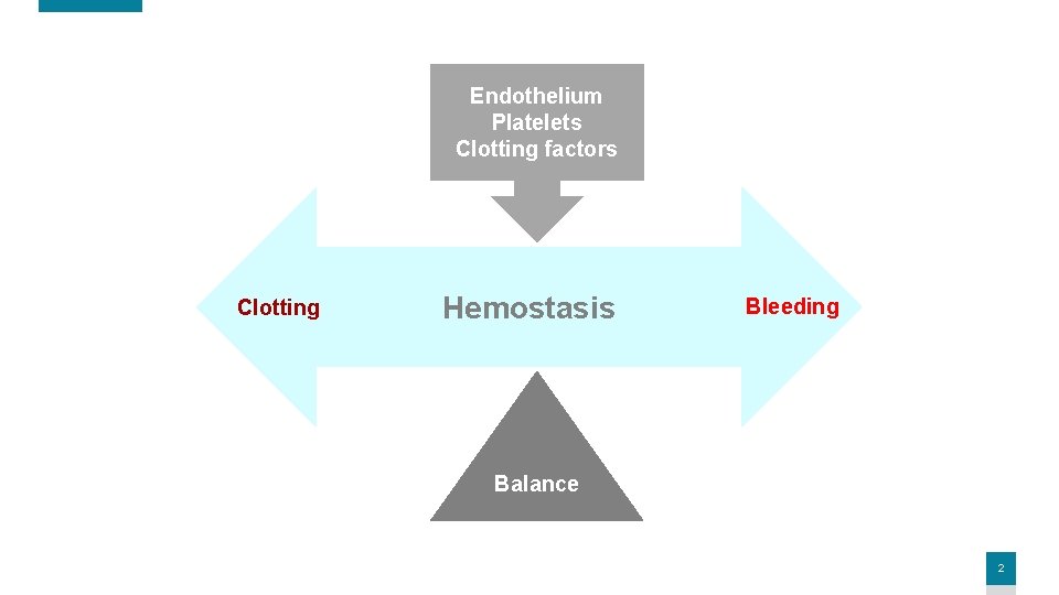 Endothelium Platelets Clotting factors Clotting Hemostasis Bleeding Balance 2 