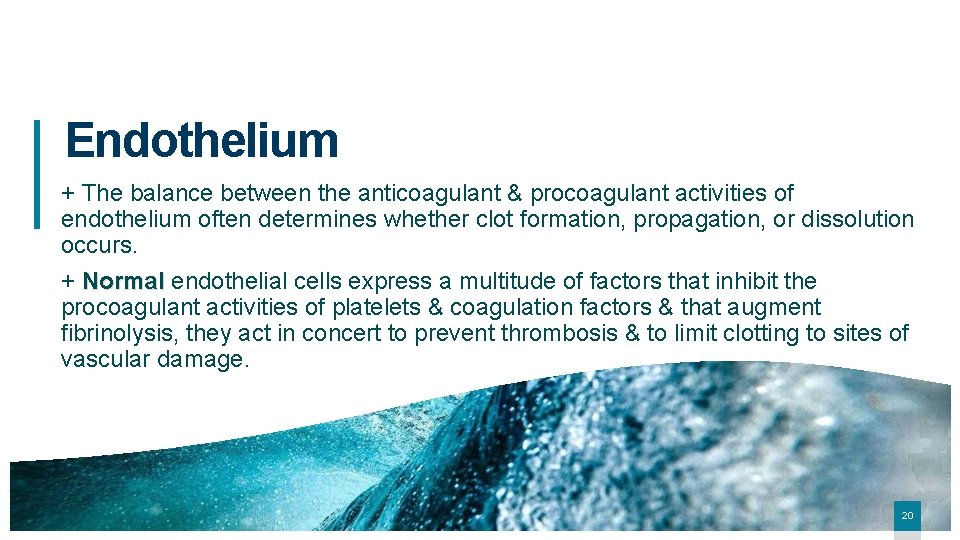 Endothelium + The balance between the anticoagulant & procoagulant activities of endothelium often determines