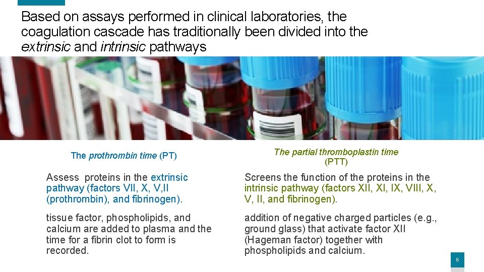 Based on assays performed in clinical laboratories, the coagulation cascade has traditionally been divided