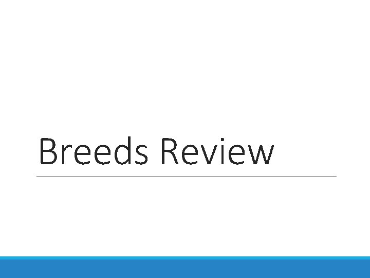 Breeds Review 