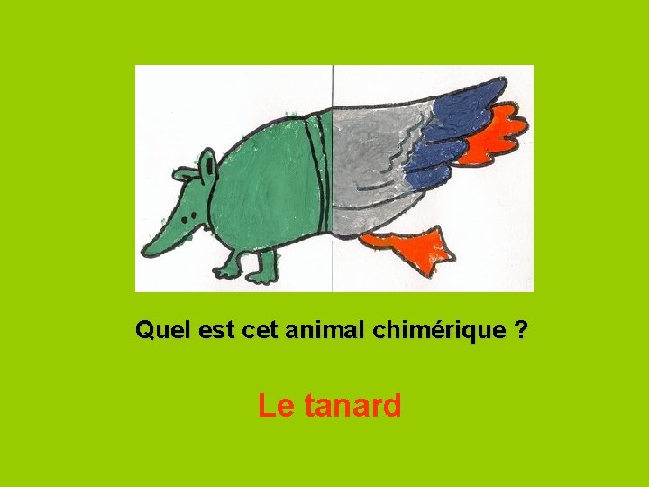 Quel est cet animal chimérique ? Le tanard 