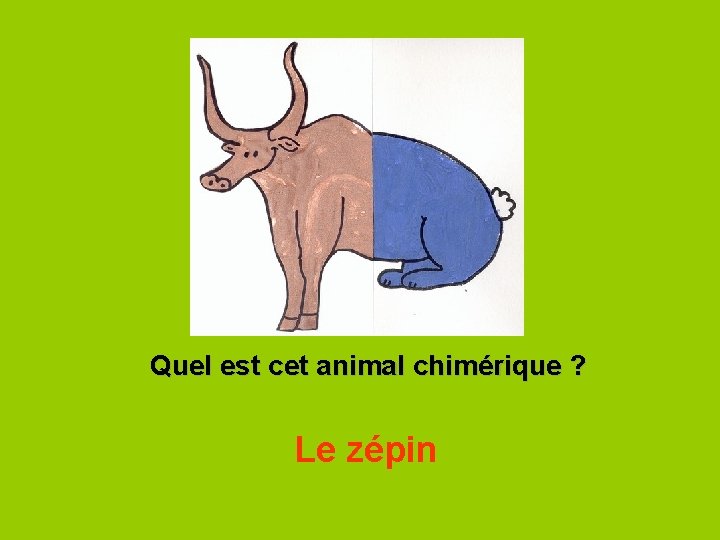 Quel est cet animal chimérique ? Le zépin 