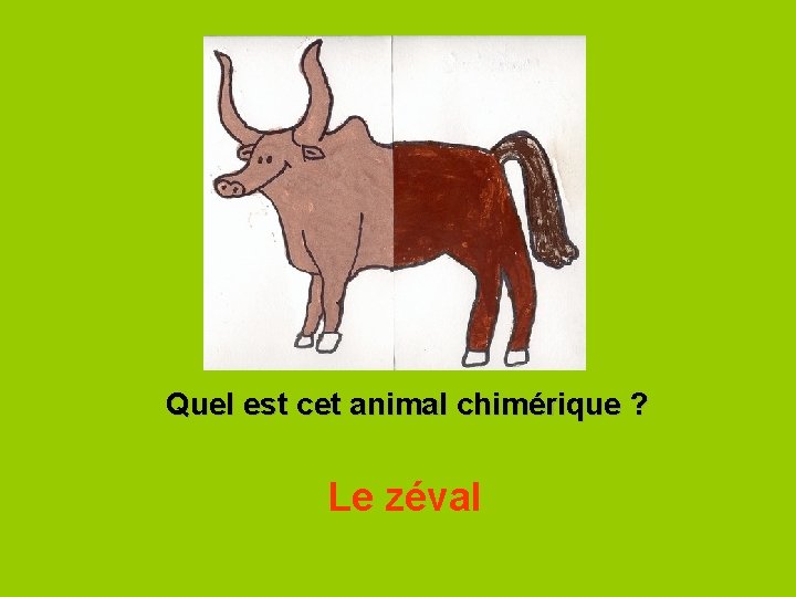 Quel est cet animal chimérique ? Le zéval 