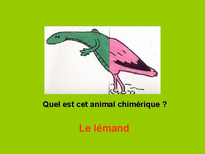 Quel est cet animal chimérique ? Le lémand 