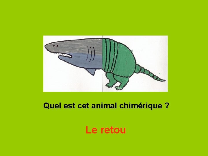 Quel est cet animal chimérique ? Le retou 