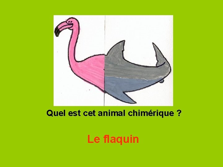 Quel est cet animal chimérique ? Le flaquin 