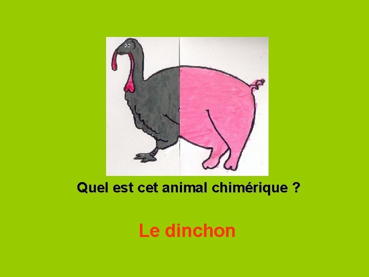 Quel est cet animal chimérique ? Le dinchon 